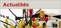 Actualités