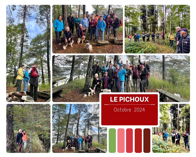 Le pichoux